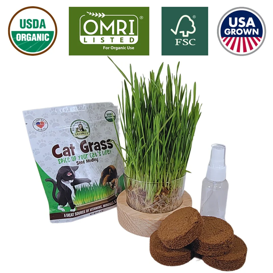 Cat Enrichment Supplies